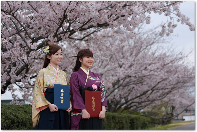 桜の木の下で並ぶ卒業女子