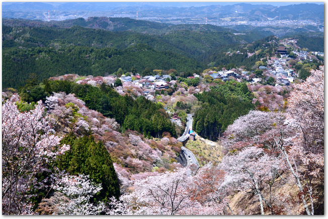 布引の桜で有名な吉野山